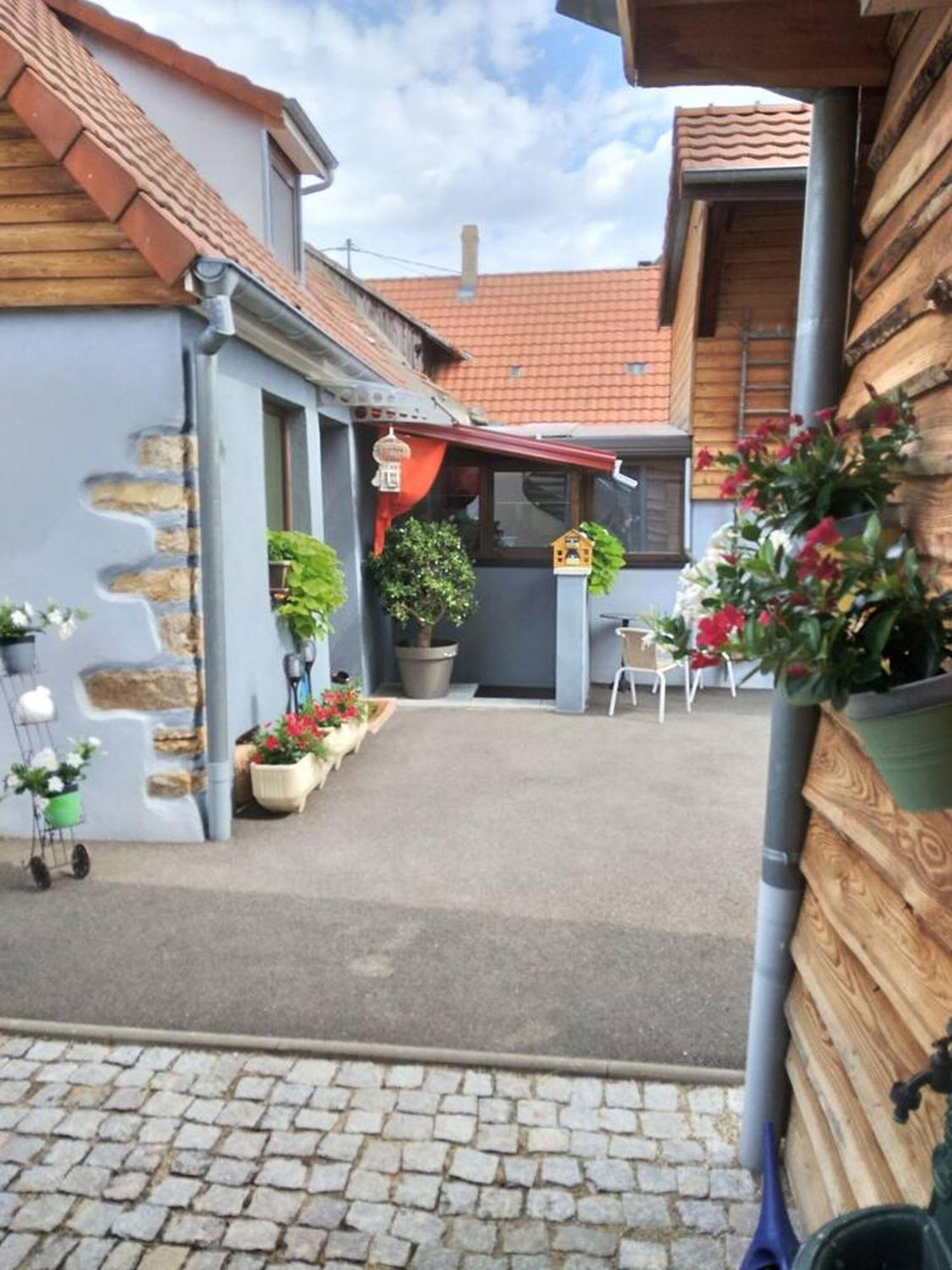 Appartement Cosy Wintzenheim + Terrasse Luaran gambar