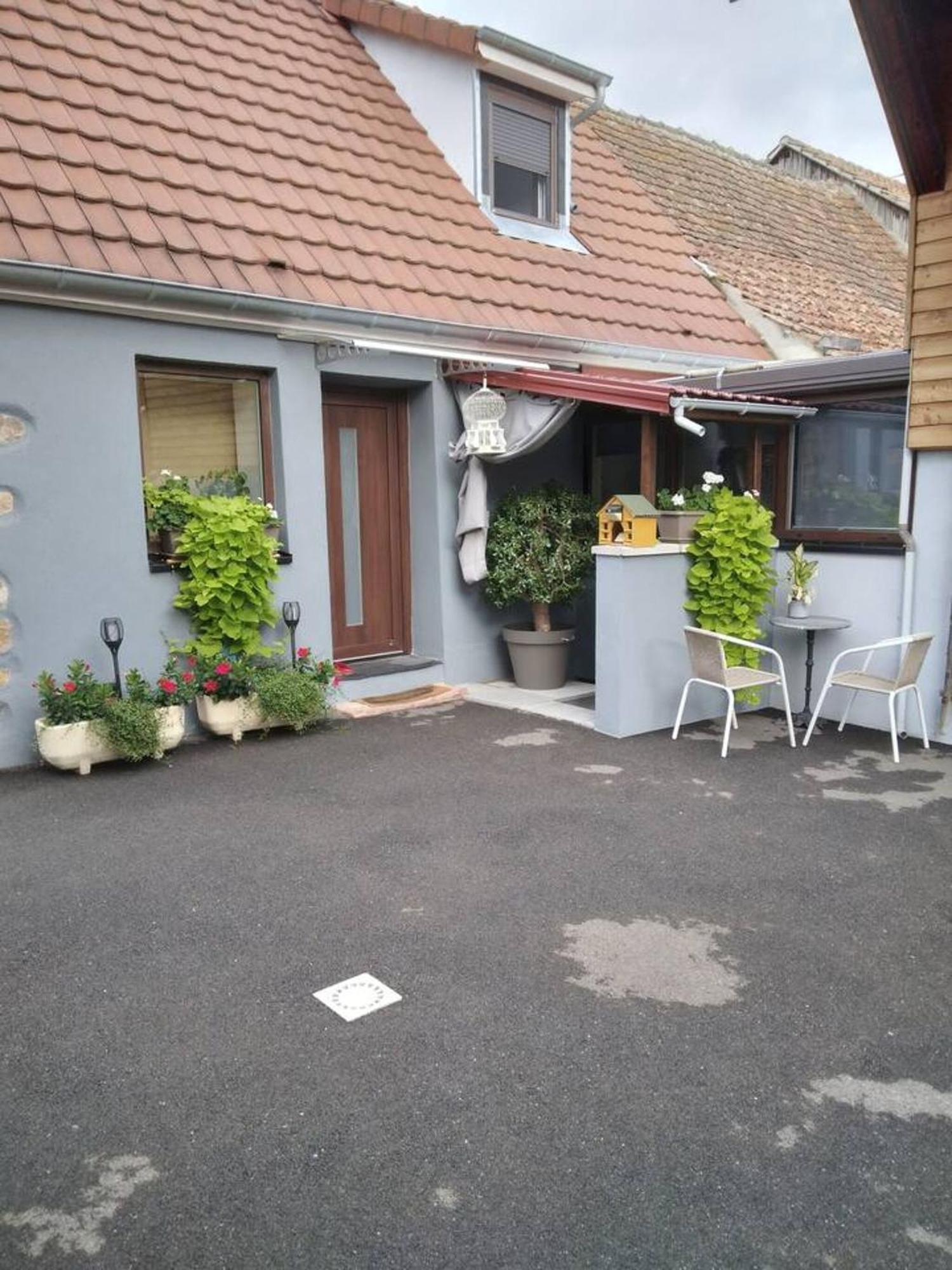 Appartement Cosy Wintzenheim + Terrasse Luaran gambar
